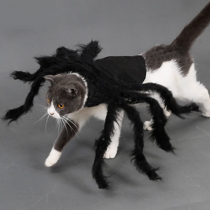 Disfraz de Araña para Mascotas Halloween