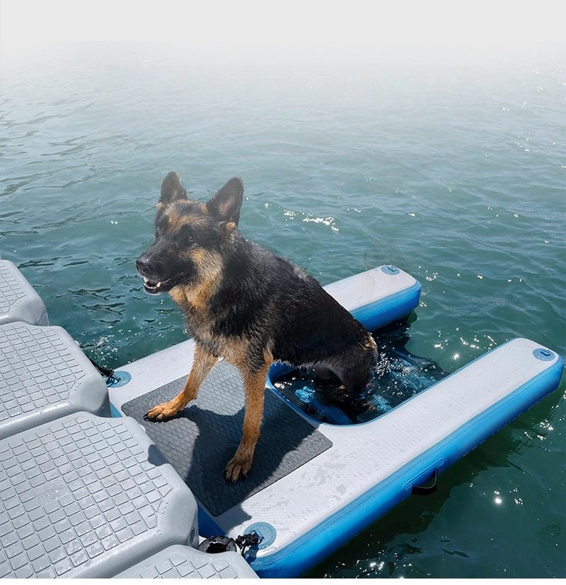 Pet Water Ramp