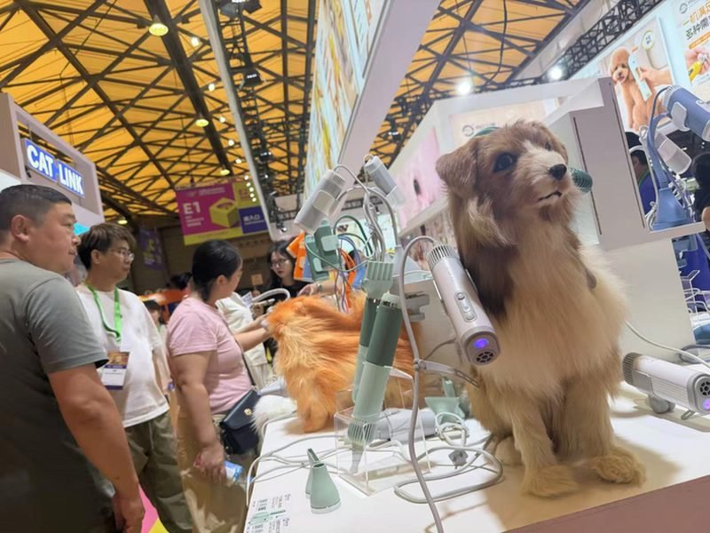 Smart pet grooming device booth with a cat-shaped model demonstrating a blow dryer